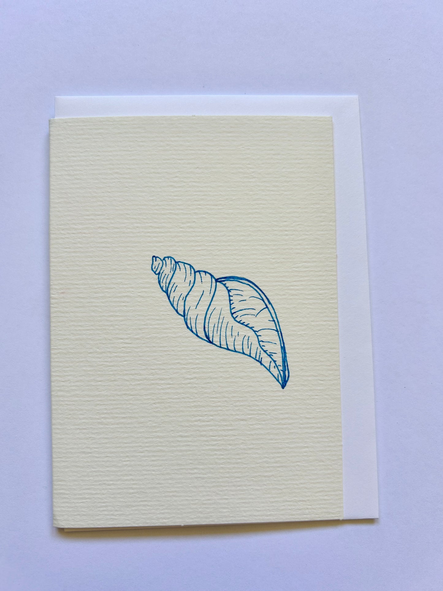 Seashell card - small