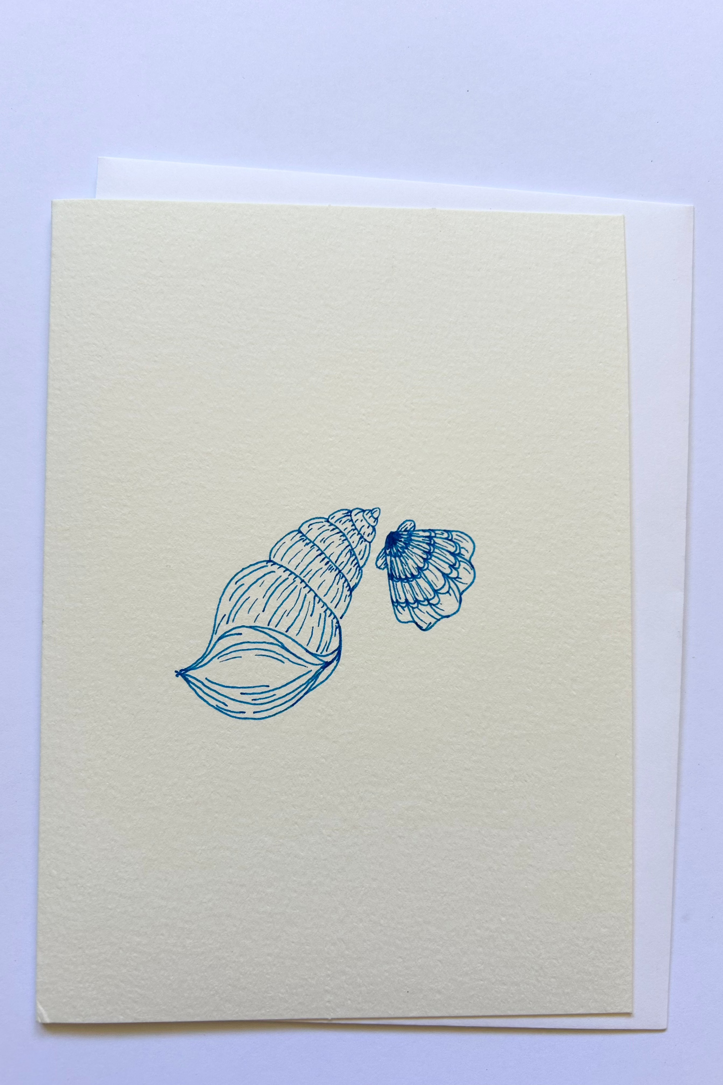 Seashell card - large