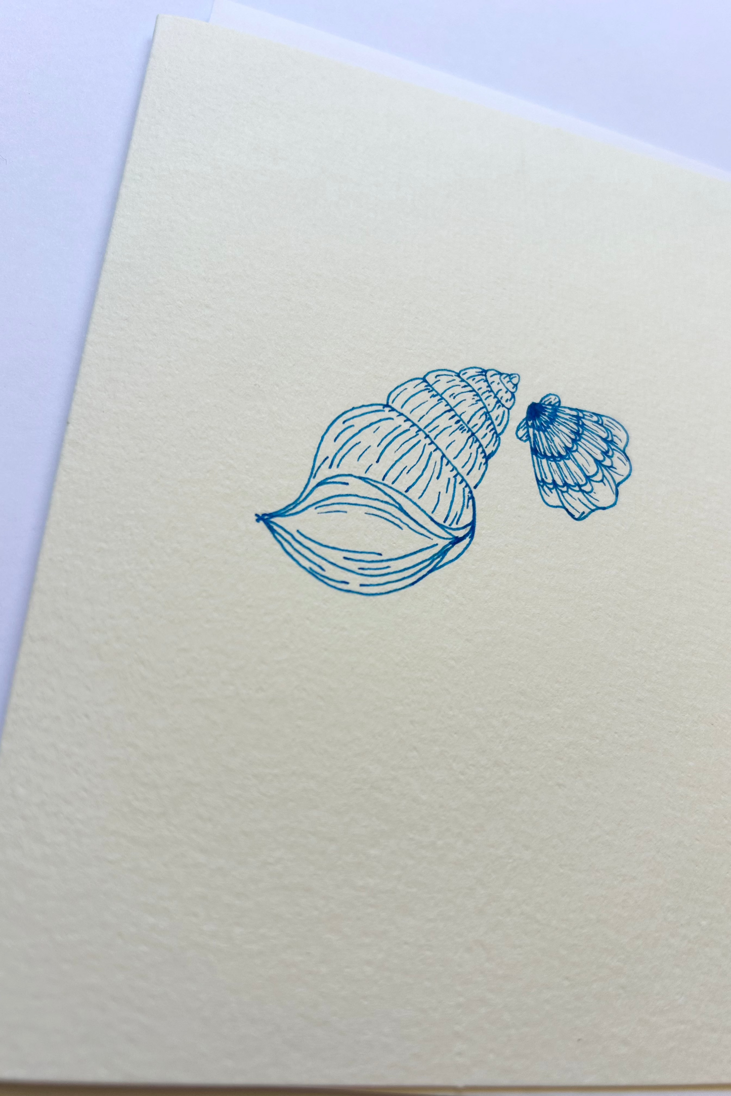 Seashell card - large